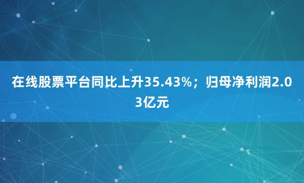 在线股票平台同比上升35.43%；归母净利润2.03亿元