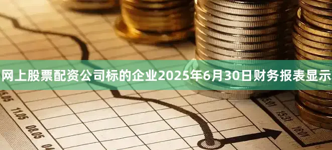 网上股票配资公司标的企业2025年6月30日财务报表显示