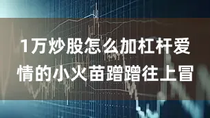 1万炒股怎么加杠杆爱情的小火苗蹭蹭往上冒
