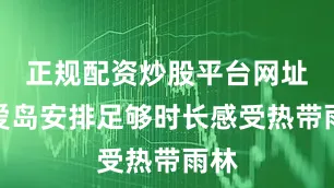 正规配资炒股平台网址可爱岛安排足够时长感受热带雨林
